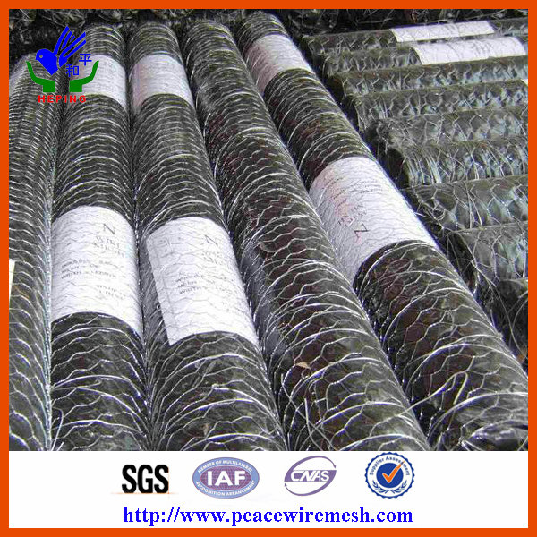 High Quality Galvanized Chicken Wire Mesh (ECW-01)