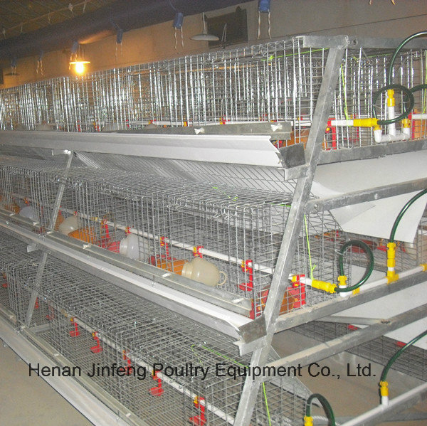 Electro Galvanized Poultry Egg Layer Chicken Cage