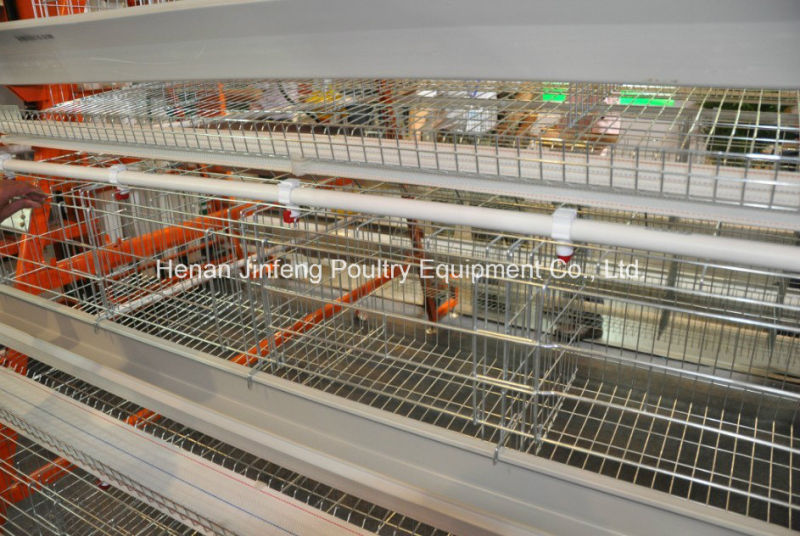 Poultry Farm Equipment Chicken Cages