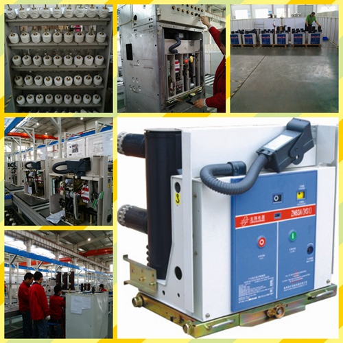 Zn63A 12kv Indoor Vacuum Circuit Breaker (Fixed type)