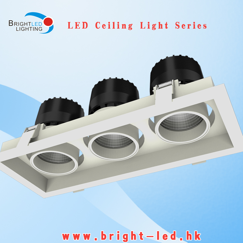 Bridgelux LED Downlight LED Ceiling Light