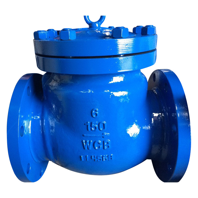 ANSI Flanged Swing Check Valve with Cast Steel