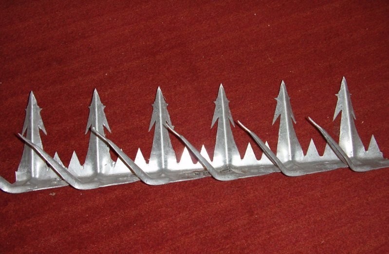 Security Wall Spike / Fencing Razor Spikes