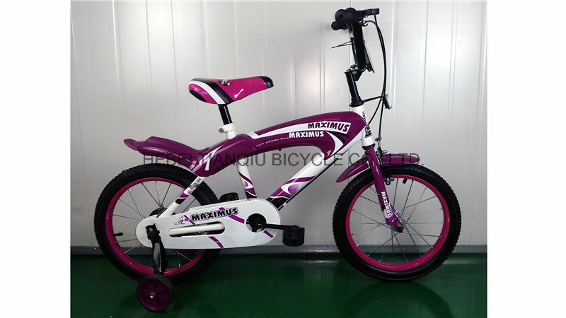 Dirt Bike Bicycle for Children, Baby Kids Cycle