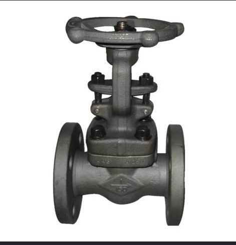 Forged Flanged End Steel Gate Valve