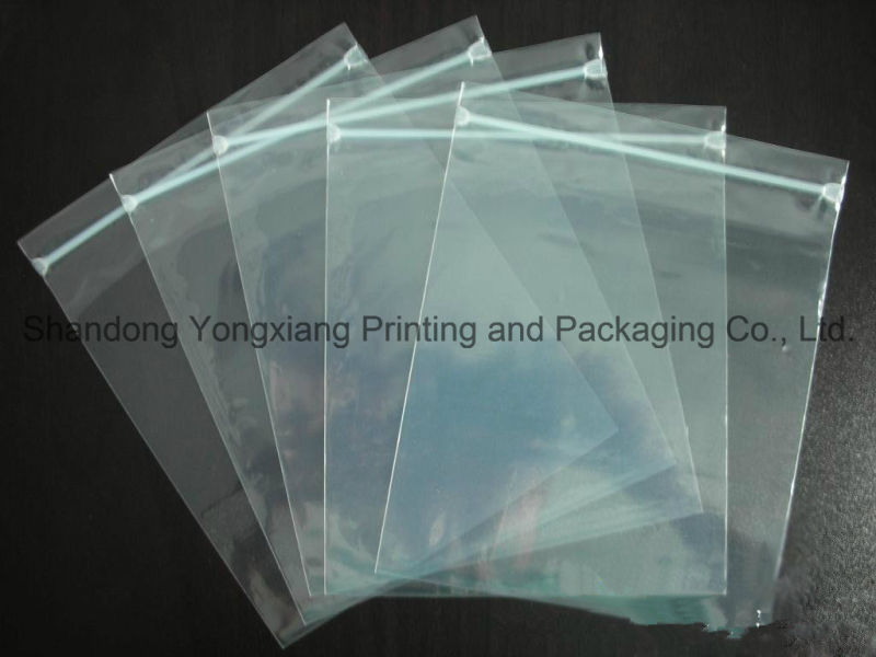 White Transparent Plastic Ziplock Packaging Bag