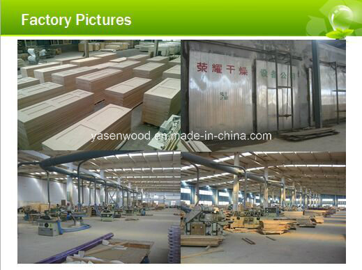 China Modern Design Interior/Exterior Wood/Wooden Door