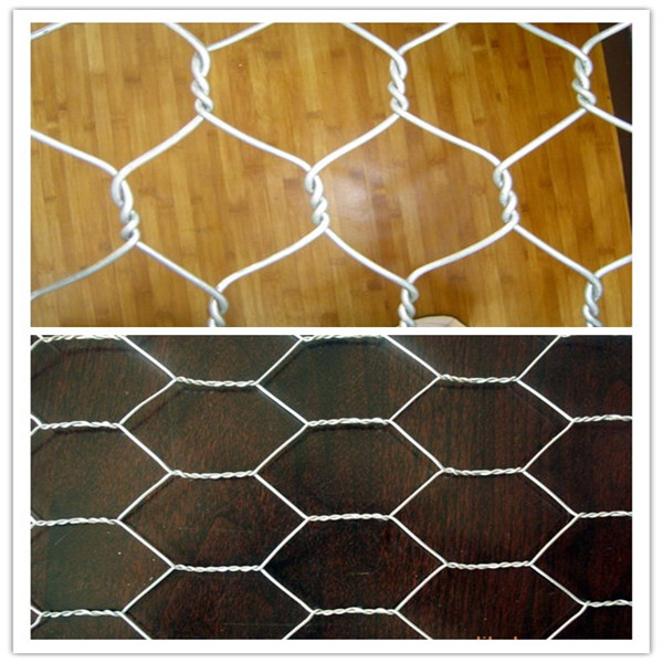 1'' 2'' Chicken Wire, Hexagonal Wire Netting, Chicken Wire Mesh