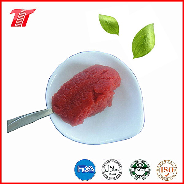 400g Star Brand Healthy Canned Tomato Paste with Low Price