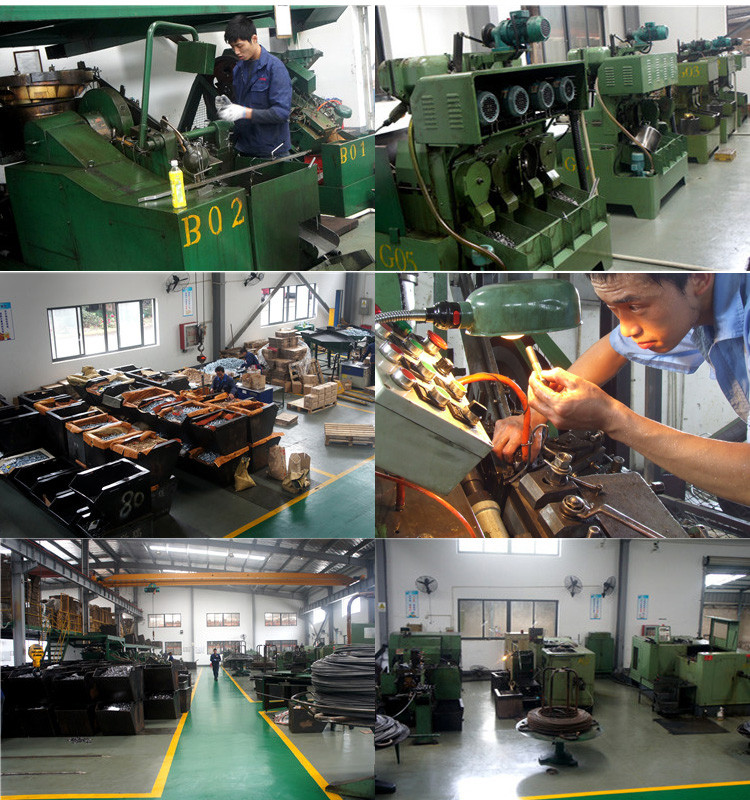 Factory Price All Grades Quality Flange Bolt/Carriage Bolt/ Track Bolt/Thread Rod/ Hex Bolt