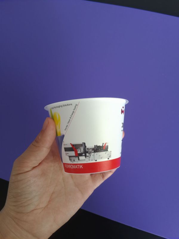 Custom Logo Printed Plastic Ice Cream Cup (PP box)