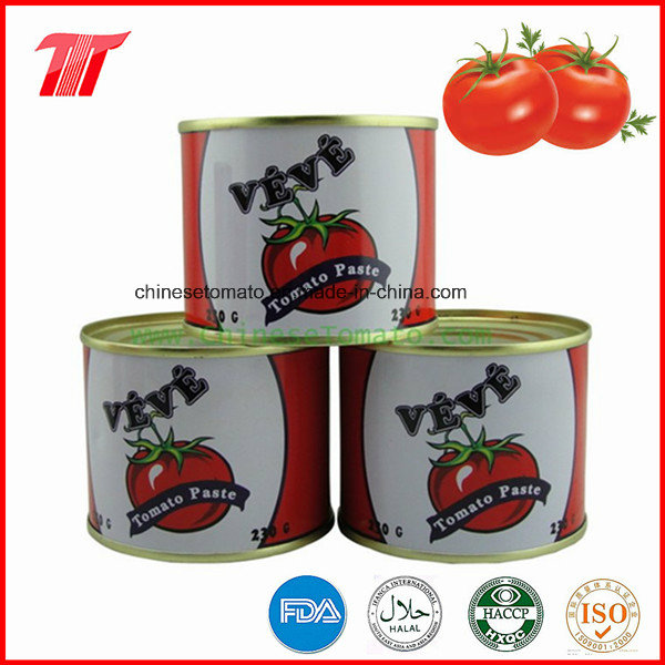 Healthy Canned Tomato Paste of Veve Brand