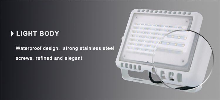 SMD LED Chip Newest Design 50W iPad Flood Light with IP65