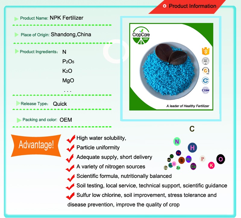 New High Quality NPK 15-5-25 for Wholesales