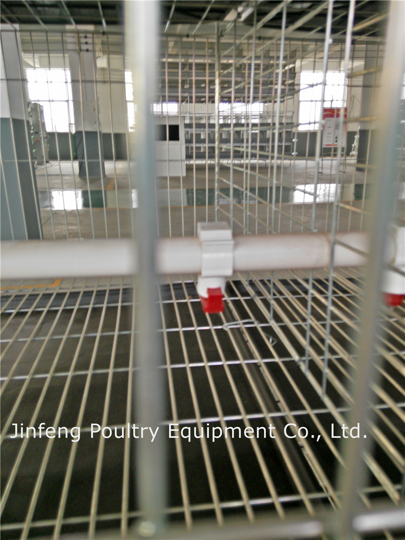 New Design /Automatic Poultry Farming Equipment for Layer Chicken Cage