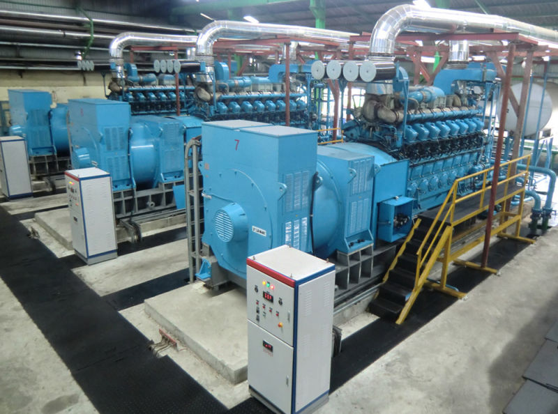 1MW-500MW Power Plant with Fuel Diesel Gas Dual Fuel Hfo