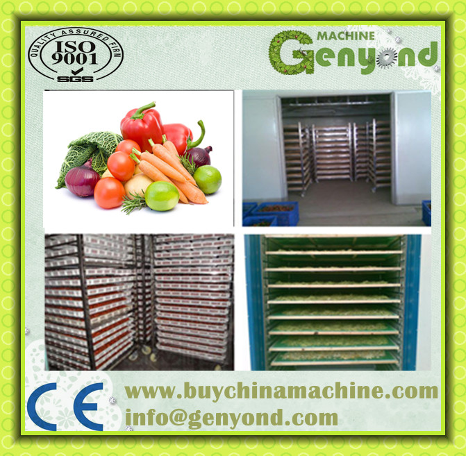 Drying Machine/Industrial Fruit Dehydrator