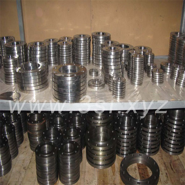 Standard 304 Stainless Steel Plate Flange (YZF-M098)