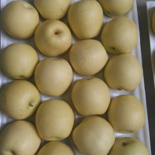 Good Quality of Fresh Crown Pear