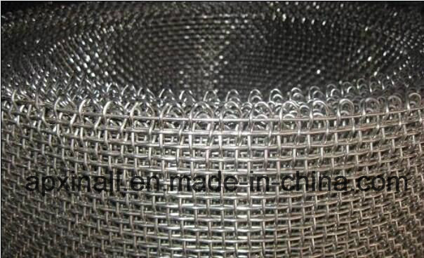 Galvanized Crimped Square Wire Mesh (XA-CWM01)