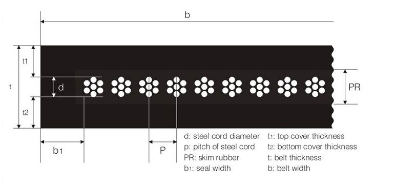 Conveyory Belt