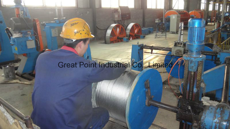 (Aluminum Conductor Steel Reinforced) ACSR Cable /ACSR Conductor