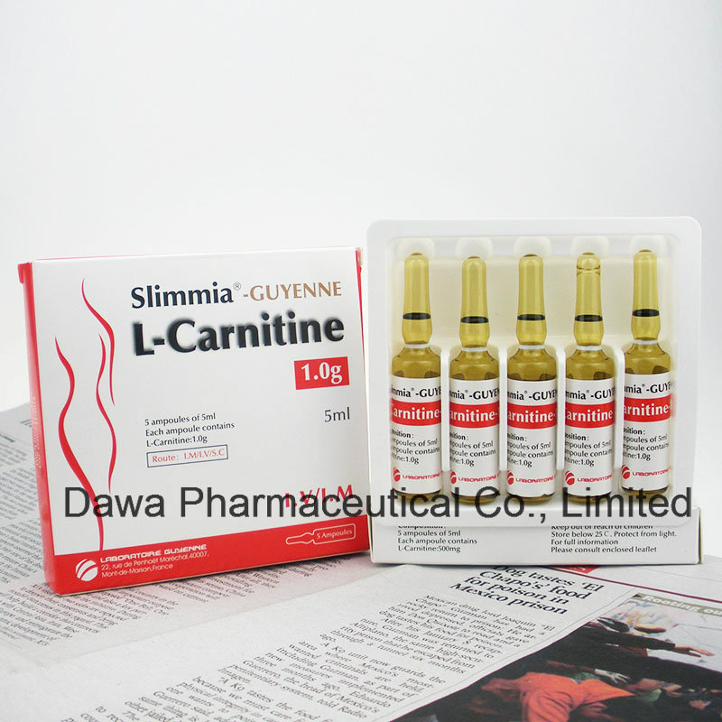 High Quality of L-Carnitine Injection for Body Slimming and Losing Weight Weight Loss