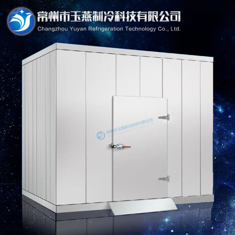 CE Standard Cold Storage Room for Food