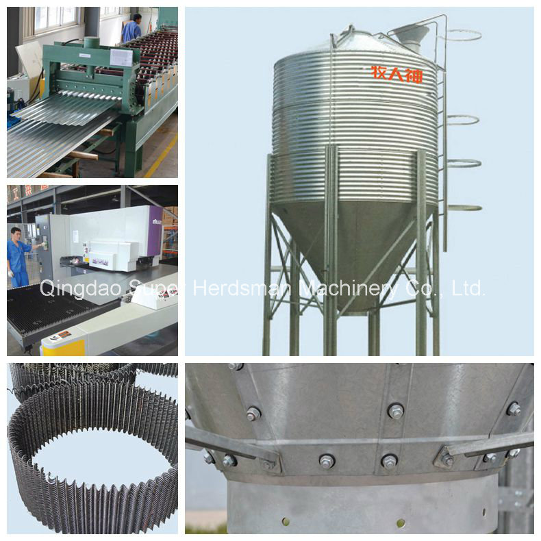 Modern Designed Full Set Automatic Poultry Farm Equipment