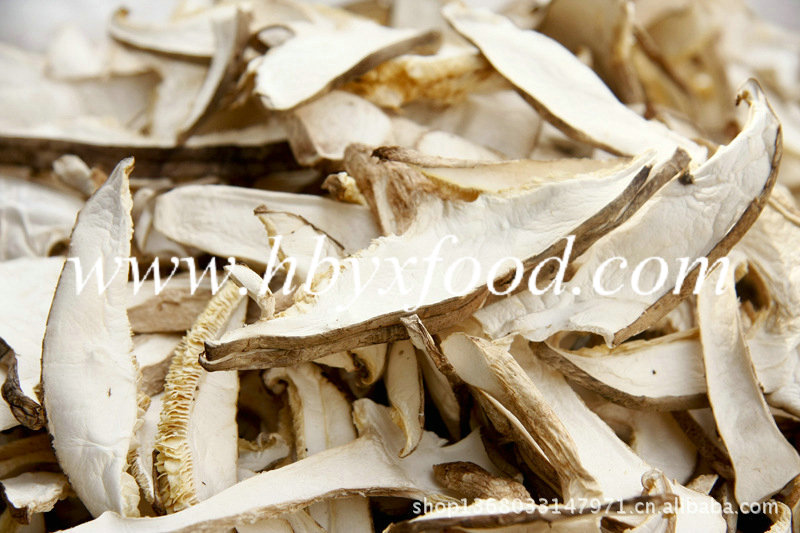 Organic Wild Dried Porcini Mushroom Slices