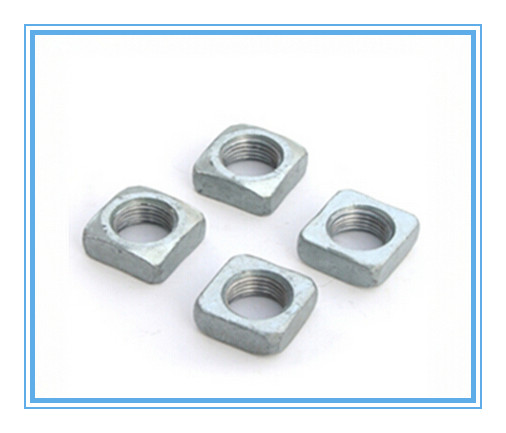 DIN557 Stainless Steel Square Nuts for Industry