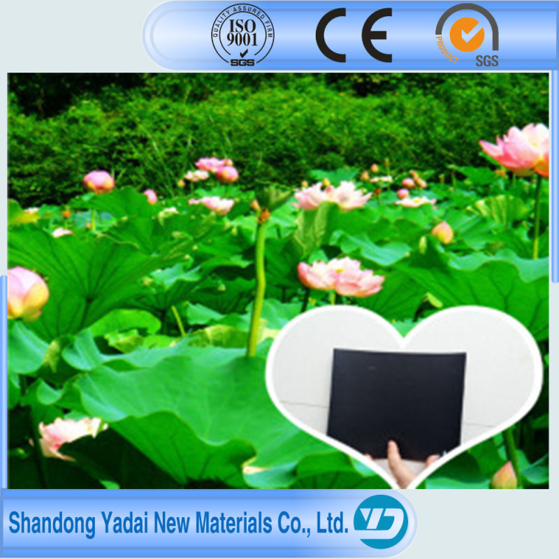 1.5mm Aging Resistance Plasic HDPE Geomembrane for Lake Liner