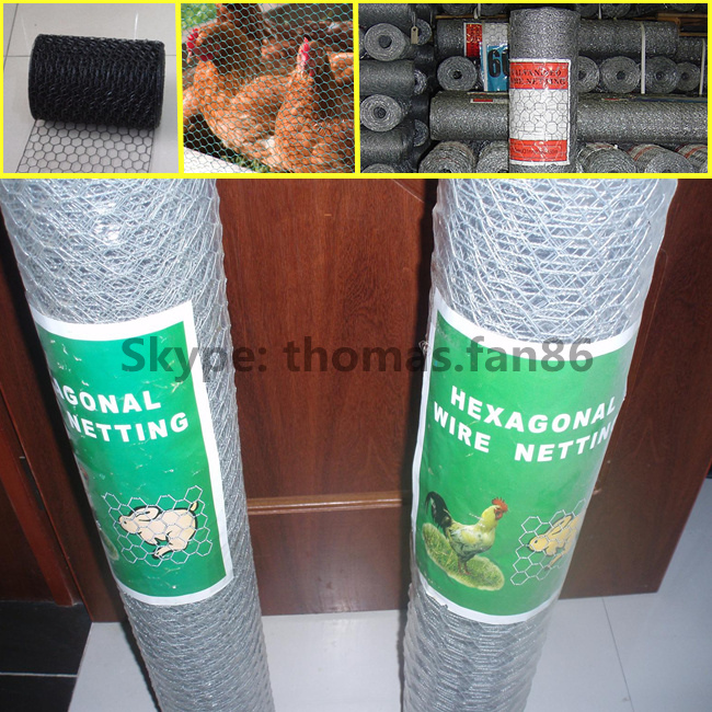 Chicken Wire Mesh / Hexagonal Wire Mesh / Poultry Mesh