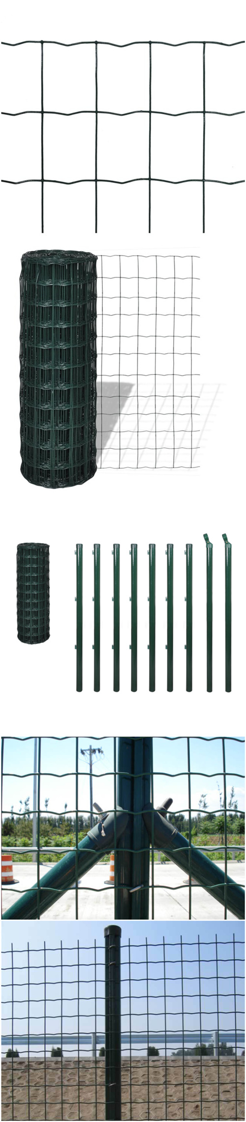 Made in China Green PVC Coated Euro Fence (ZDEF)