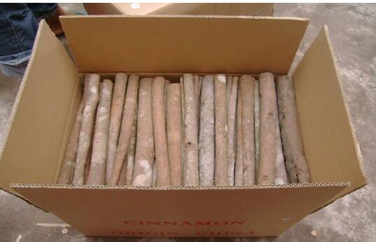 Chinese Best Price Cinamon, Cassia Tube, Broken and Whole