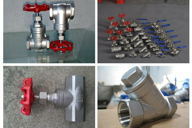 Internal Threaded Castin Stainless Steel 316 Globe Valve