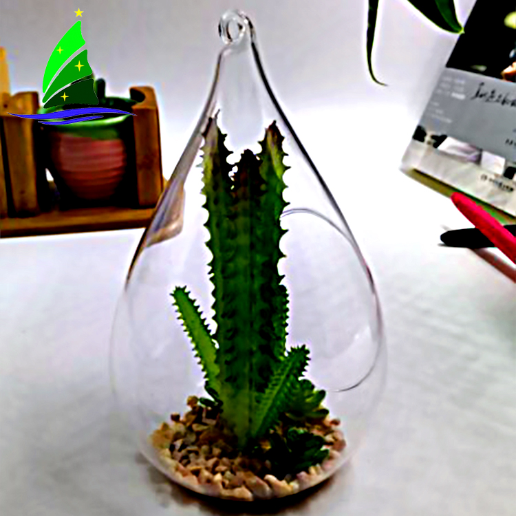 Teardrop Glass Globe Terrarium