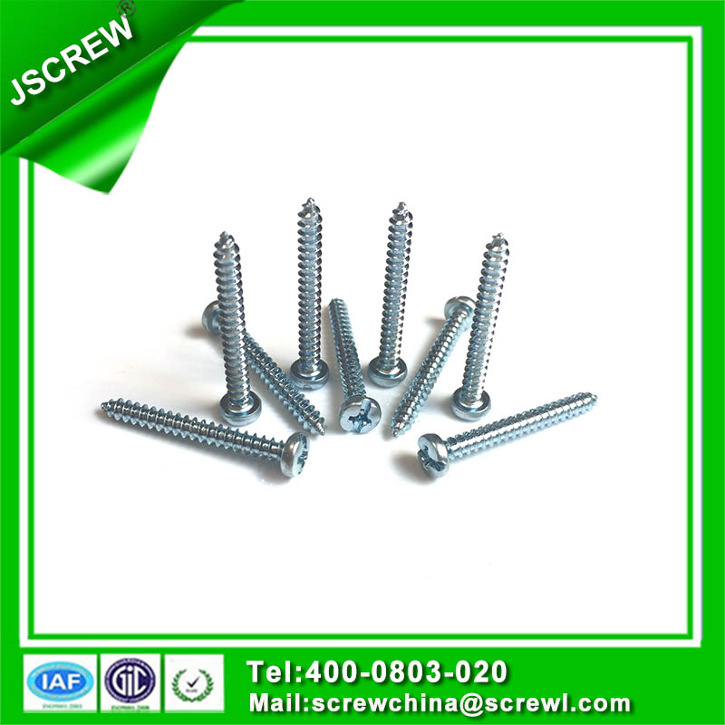 Made in China Zinc Plated Slotted Pan Head Self Tapping Screw for Plastic