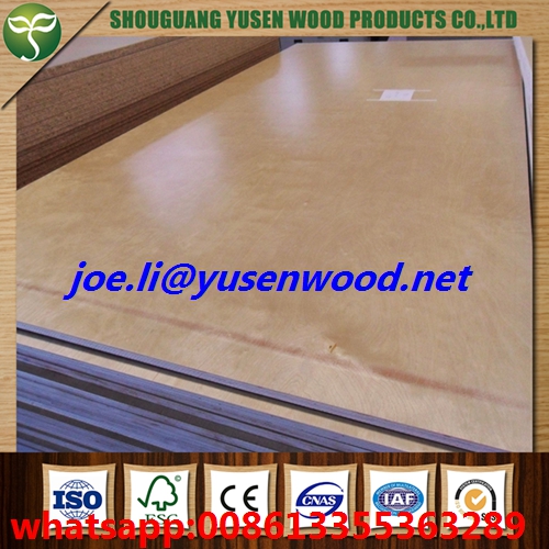 High Gloss Birch Core UV Plywood