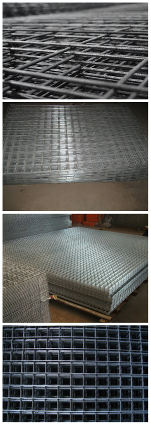 China Manufacturer Galvanized Welded Wire Mesh