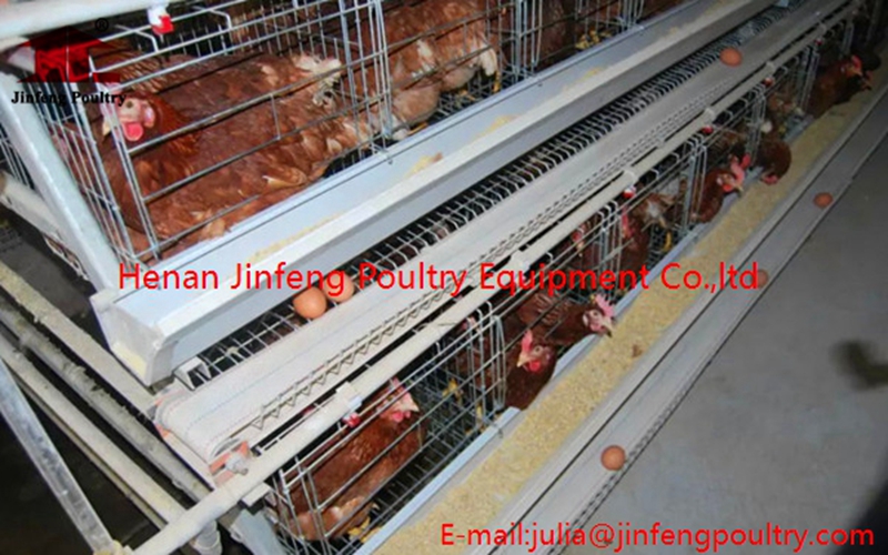 Chicken Cages Made in China with Good Quality