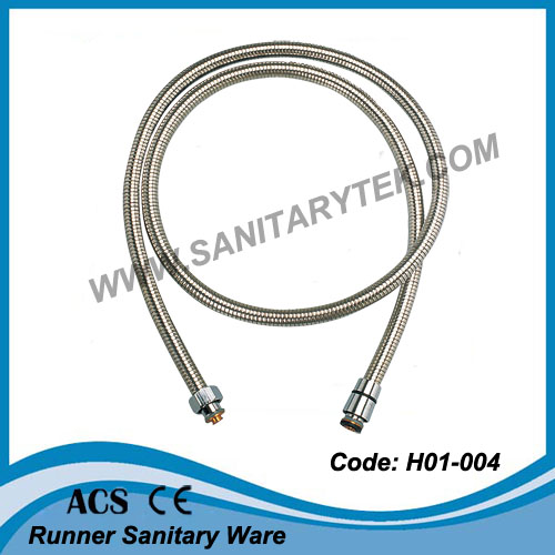 Stainless Steel Shower Hose (H01-003)