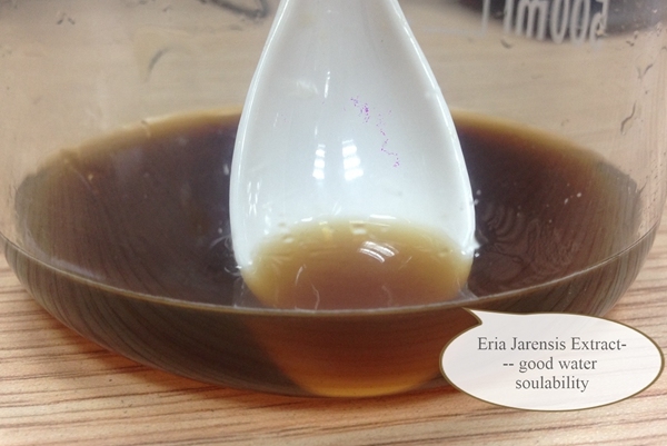 Hot Selling Natrual Extract Eria Jarensis Extract