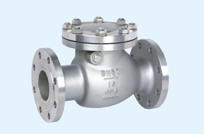 ANSI B 16.10 Ss 304 Swing Type Check Valve