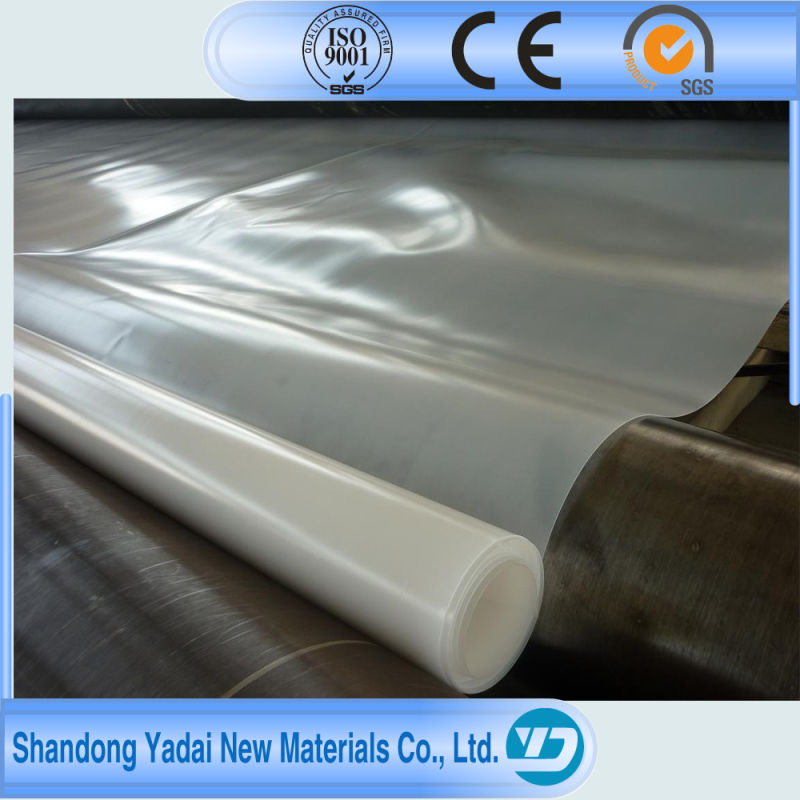 Water Proof Material Fish Farm Swimming Pool Shrimp Farm HDPE Geomembrane Membrane