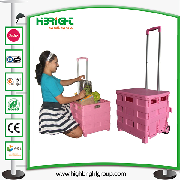 Foldable Pack and Roll Shopping Cart Trolley