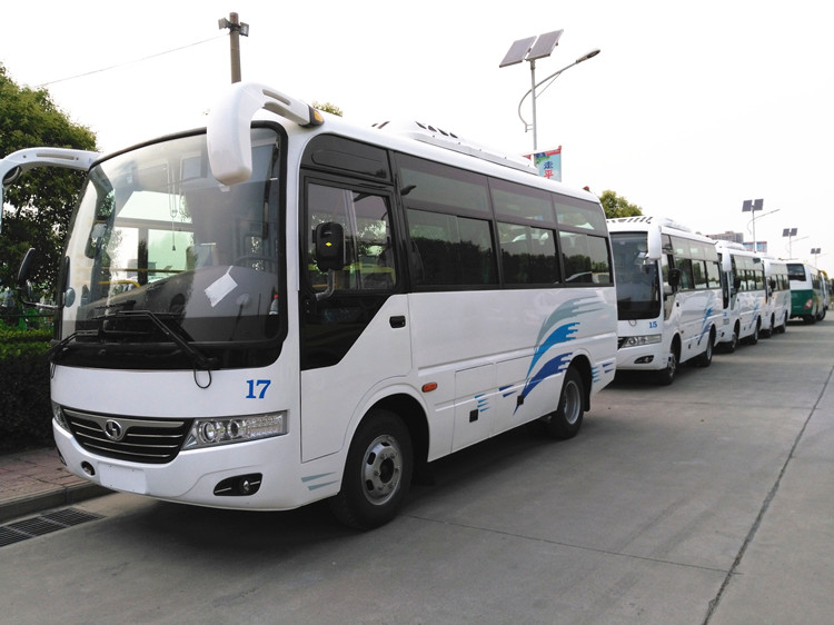 Low Price 20 Seats Diesel Bus in Sales Promotion