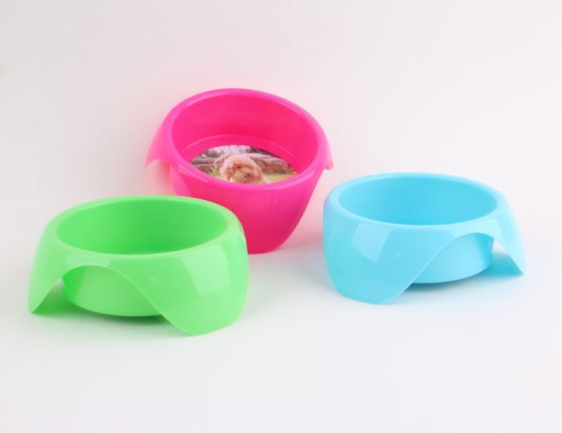 Dog Single Bowl, Dog Product