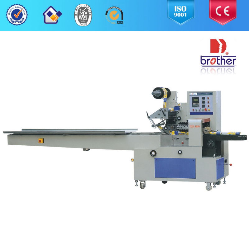 Multi Function Pillow Type Packer (DZB-300W)