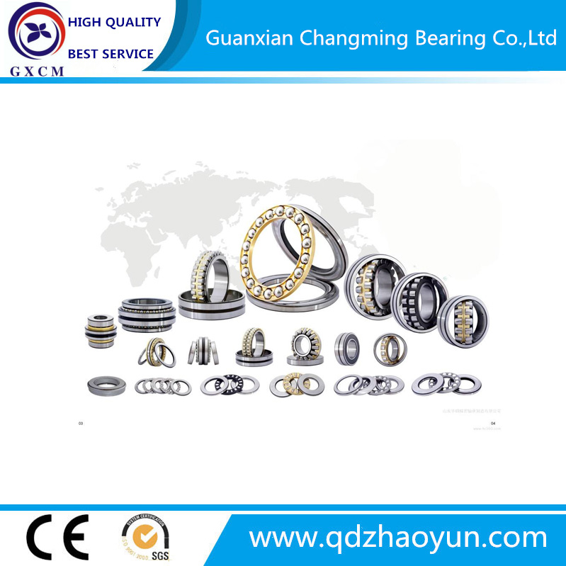 High Precision Axial Load/Thrust Roller/Ball Bearings (51110/51111/51112/51113/51114/51138/M)